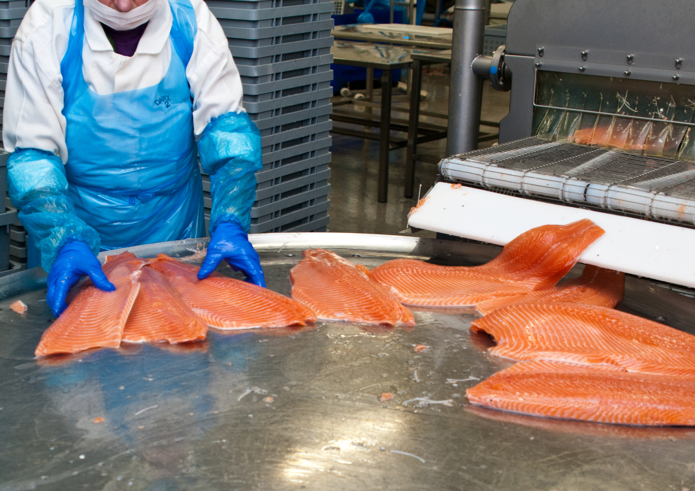 Seafood and Fisheries